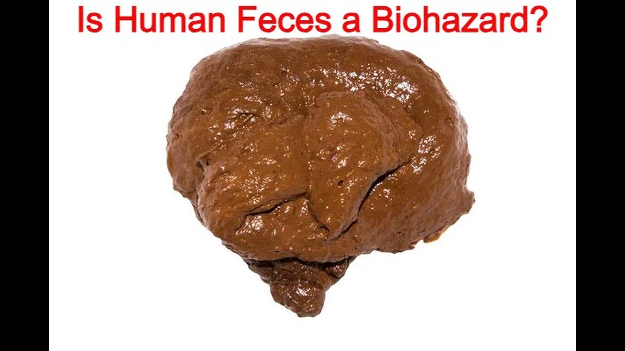 Is Human Feces a Biohazard?