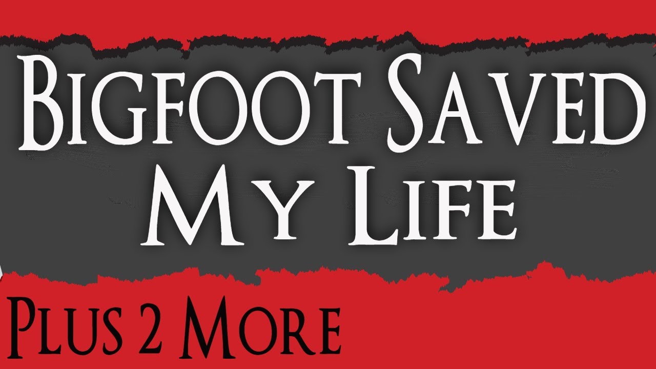 Bigfoot Encounters: Bigfoot Saved My Life - Bigfoot Reached Out His Hand To Me