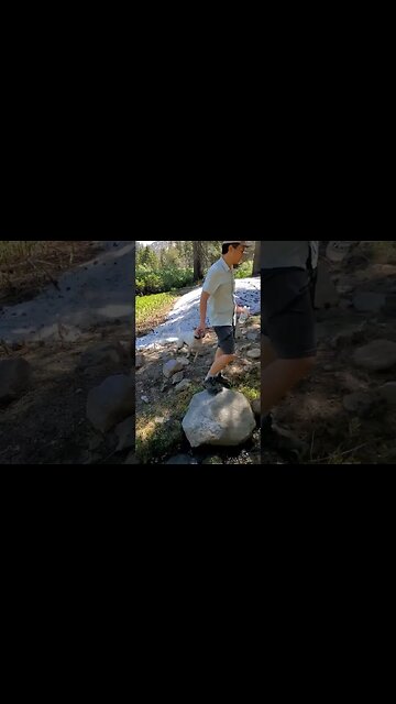 Ball fetch in mountain springs