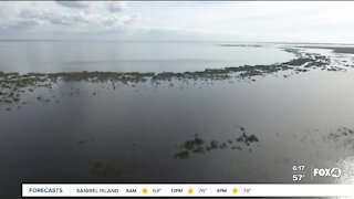 Election 2020: Water quality issues in Florida