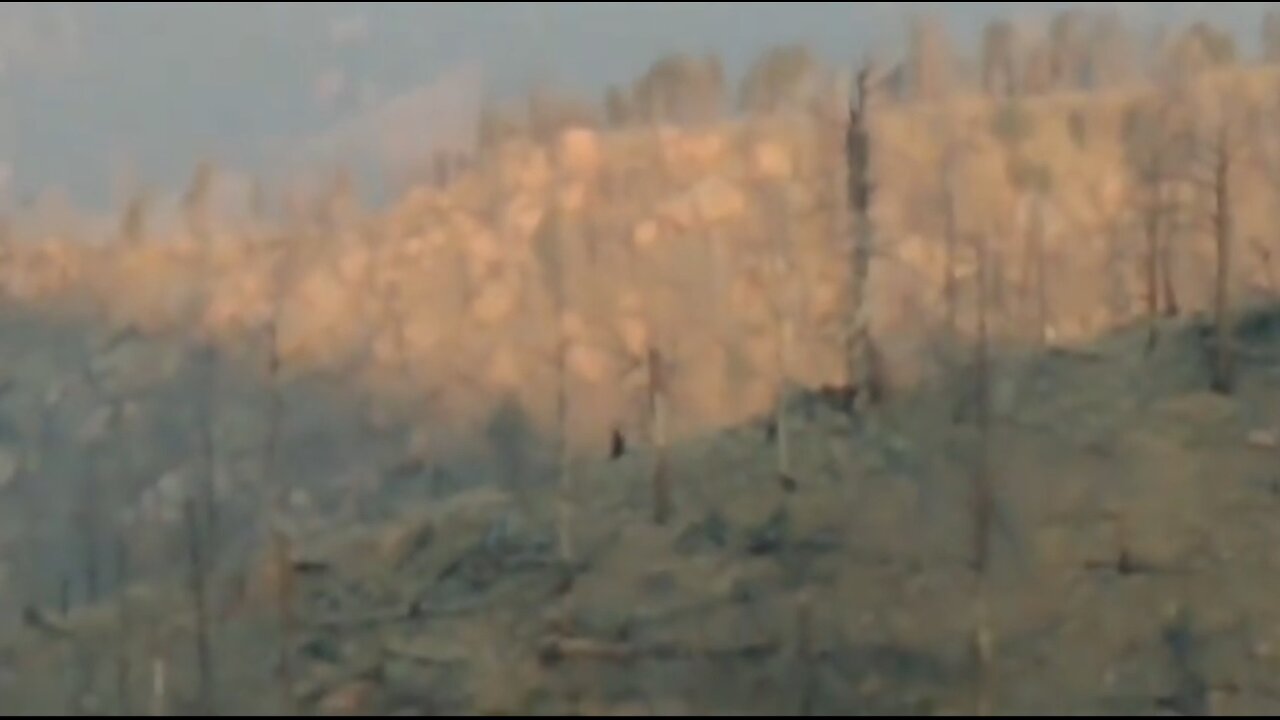 Fourteen Foot Tall Bigfoot On Colorado Mountain side.
