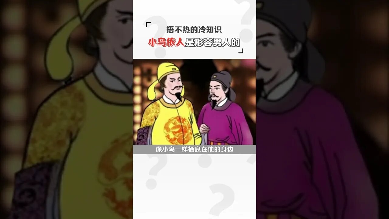 小鳥依人最早居然是形容男人的!#shorts #天橋下說書貓