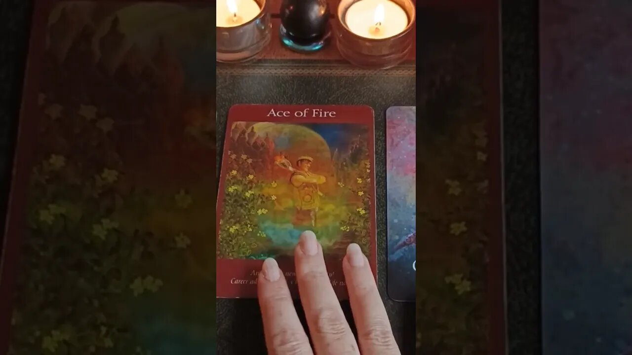Tuesday 25th October 2022 #tarot #careertarot #dailytarot
