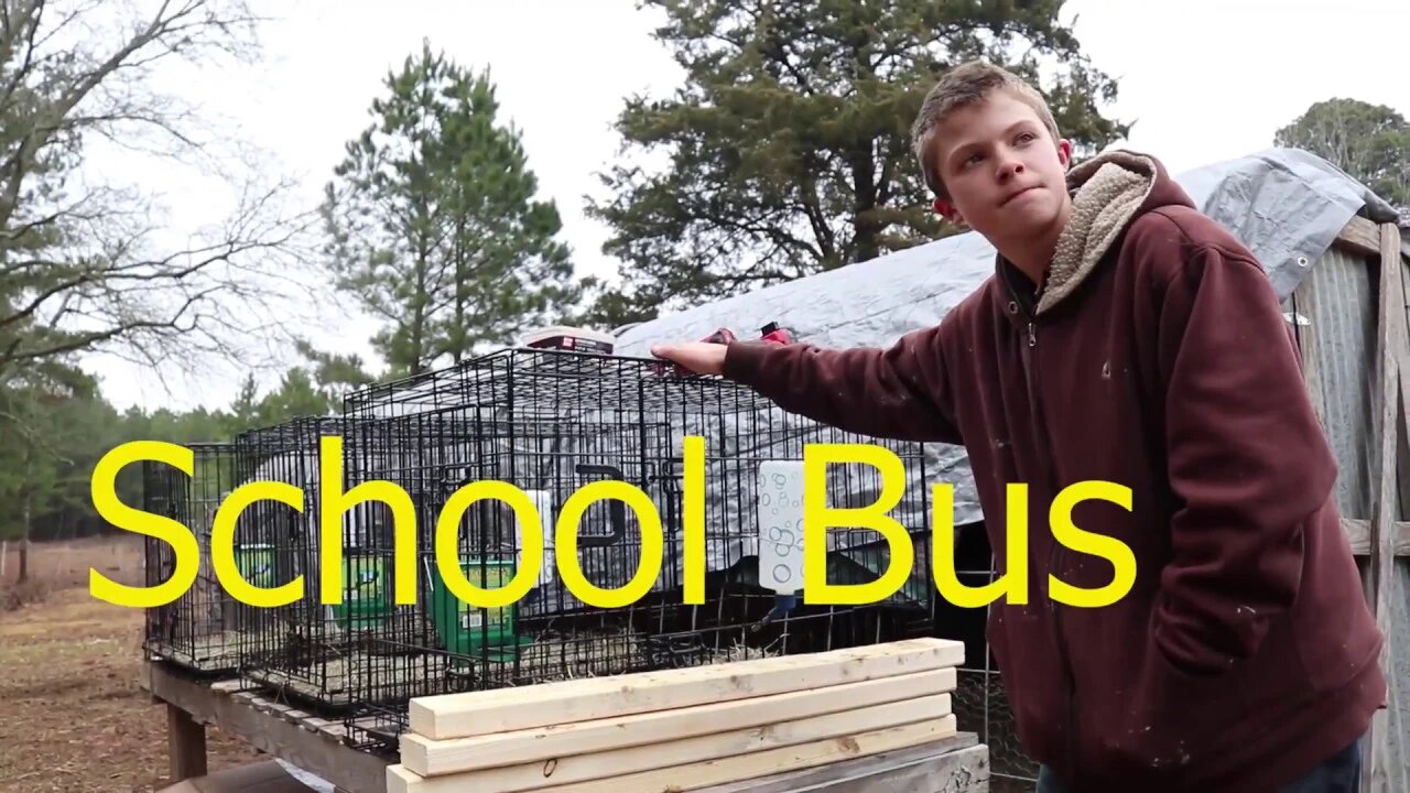 Day In "Lifeschool"//Unschool//True Education/Rabbits/Chicks