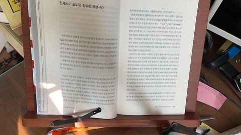 모택동 인민의 배신자 엔도 호마레 장제스 고뇌 장쭤린 폭살사건 북벌 일본 쑨원 국민혁명군