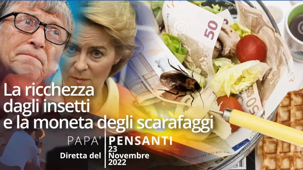 La ricchezza dagli insetti e la moneta degli scarafaggi (Diretta del 23 novembre 22)