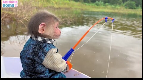 BiBi rowes boat to go fishing Animals Home