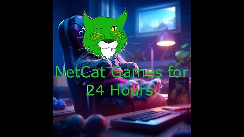 NetCat Games for 24 hours!