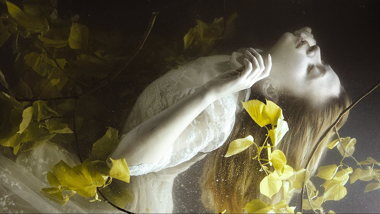 MIRA NEDYALKOVA - Photography I