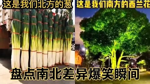 #盘点南北差异爆笑瞬间，给南方朋友普及一下，这是我们北方的大葱#吃瓜观影站 #搞笑瞬间 #爆笑生活