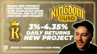 BRAND NEW ROI MINER | BUSD Kingdom Launching Today! #DeFi #crypto #gamefi #roidapp #busdkingdom #bsc