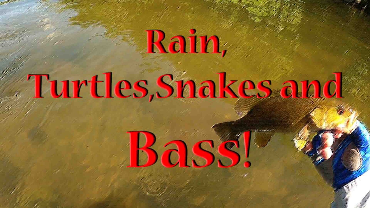 Rain, Turtles, Snakes and Bass!