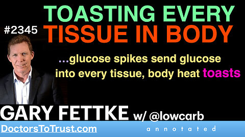 GARY FETTKE w2 | TOASTING EVERY TISSUE IN BODY …glucose spikes into every tissue, body heat toasts