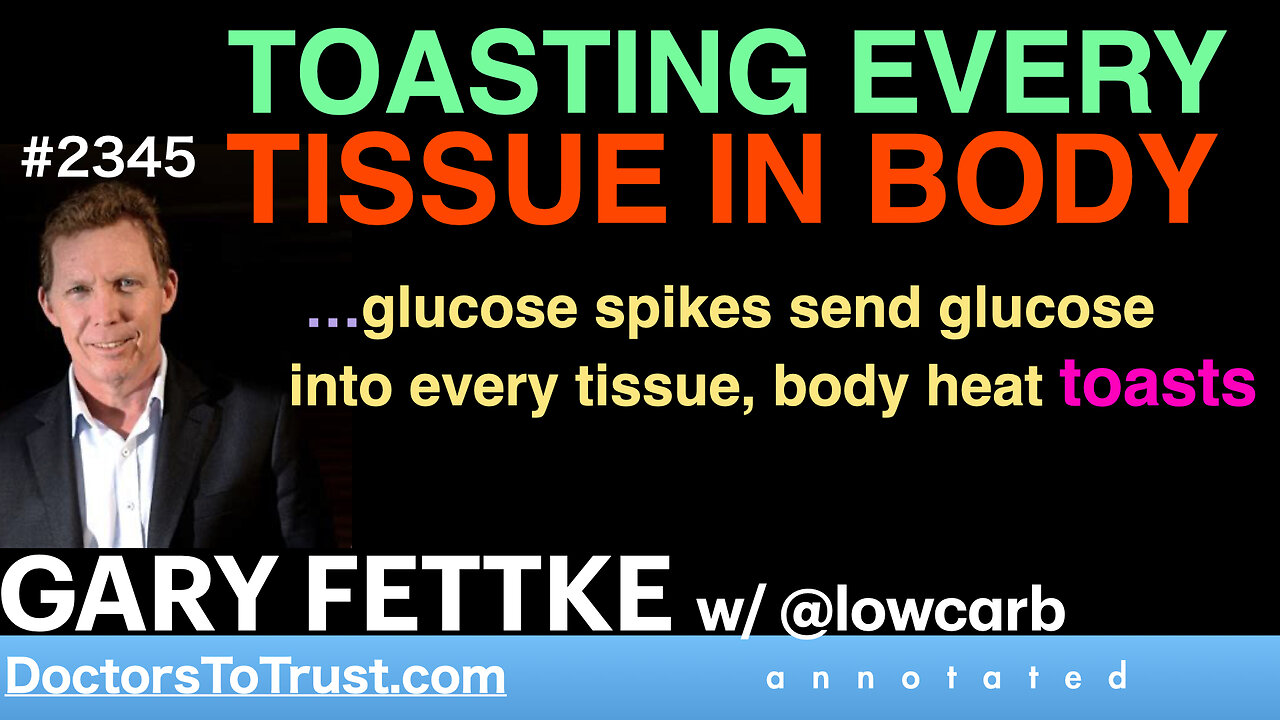 GARY FETTKE w2 | TOASTING EVERY TISSUE IN BODY …glucose spikes into every tissue, body heat toasts