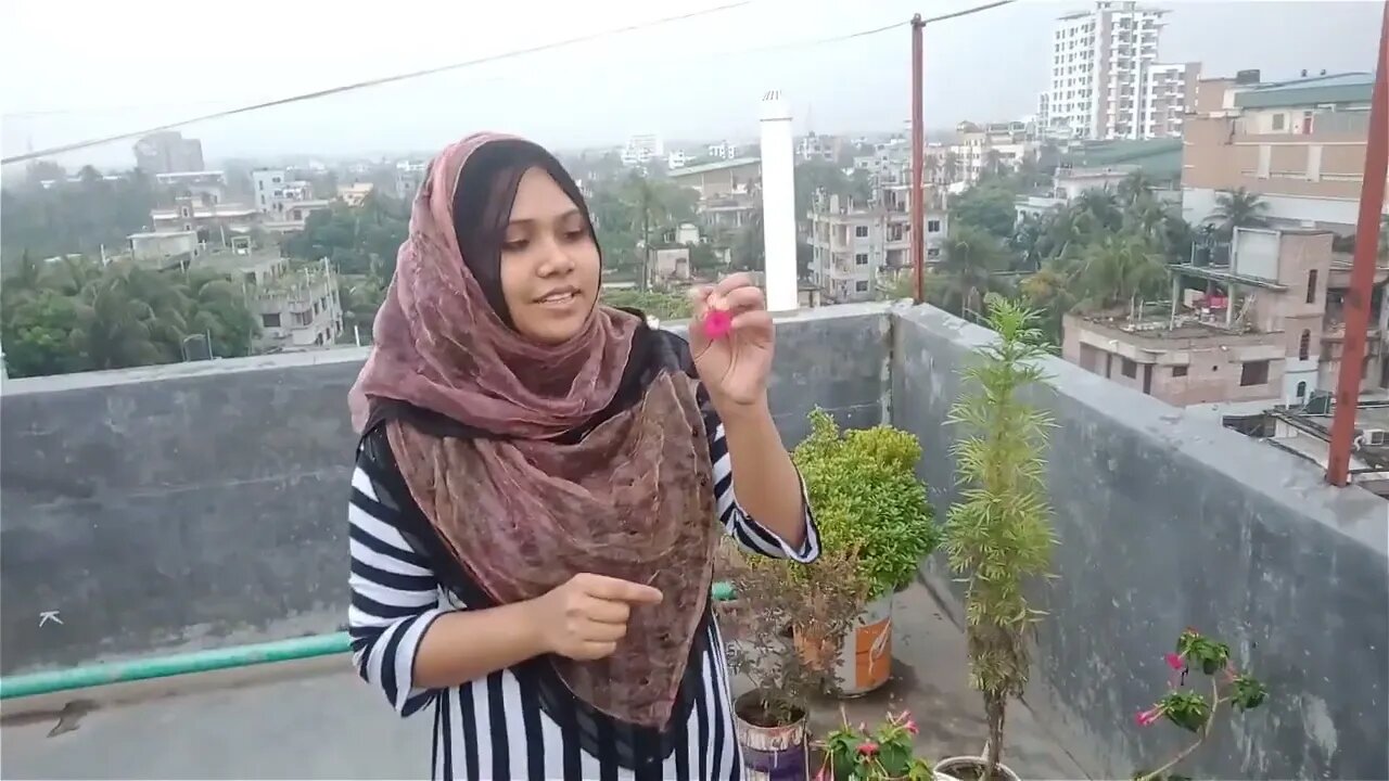 নিজের হাতে ফুসকা বানালাম | Freelancer Couple Vlog