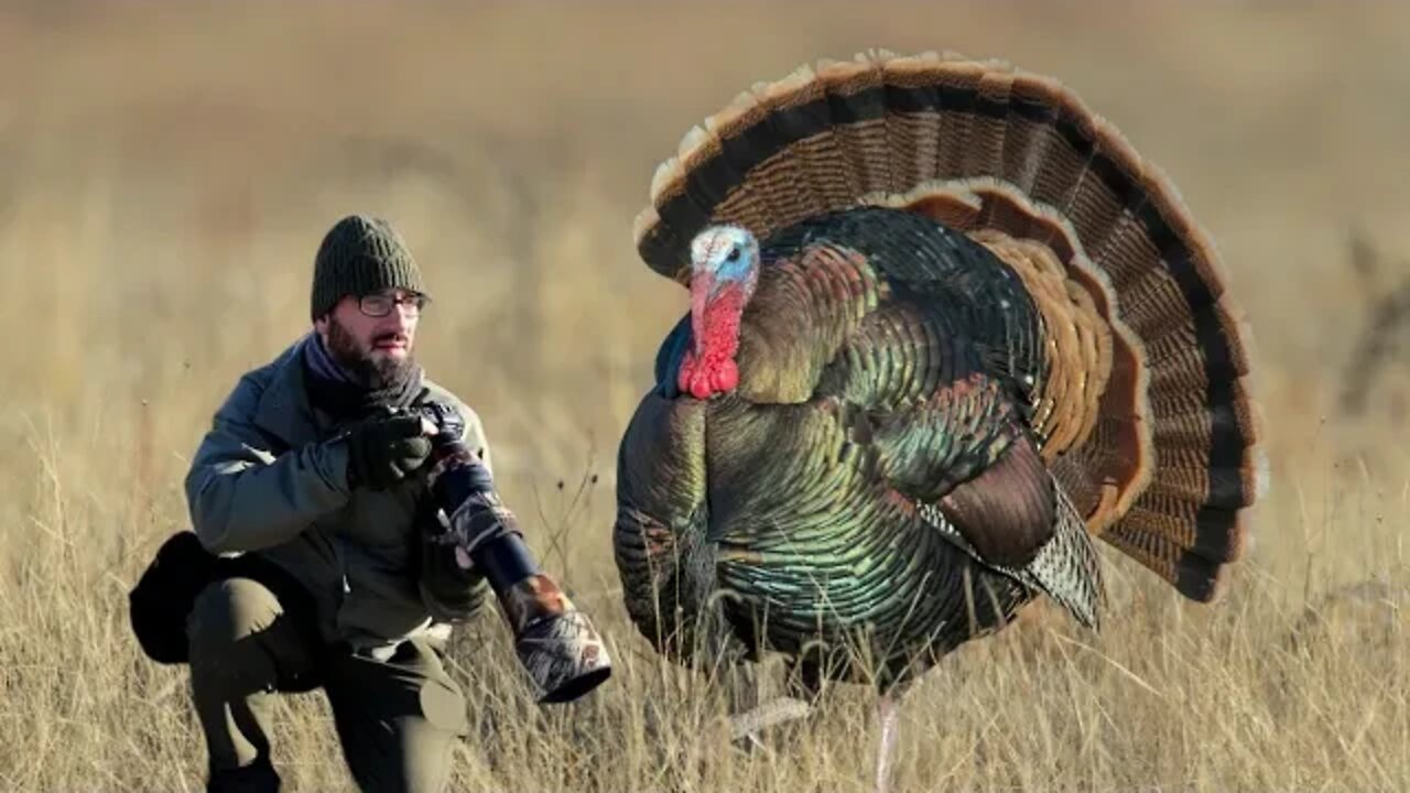 A COLD Hike for Wildlife Photography but a WARM Holiday Message