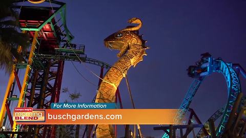 Busch Gardens