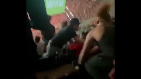Sometimes The Fights In The Stands At UFC Fights Are Better Than In The Octogon