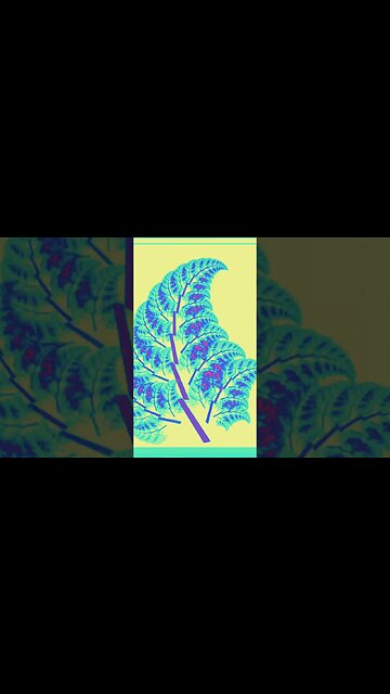 #ohhighbud #guitarriffs