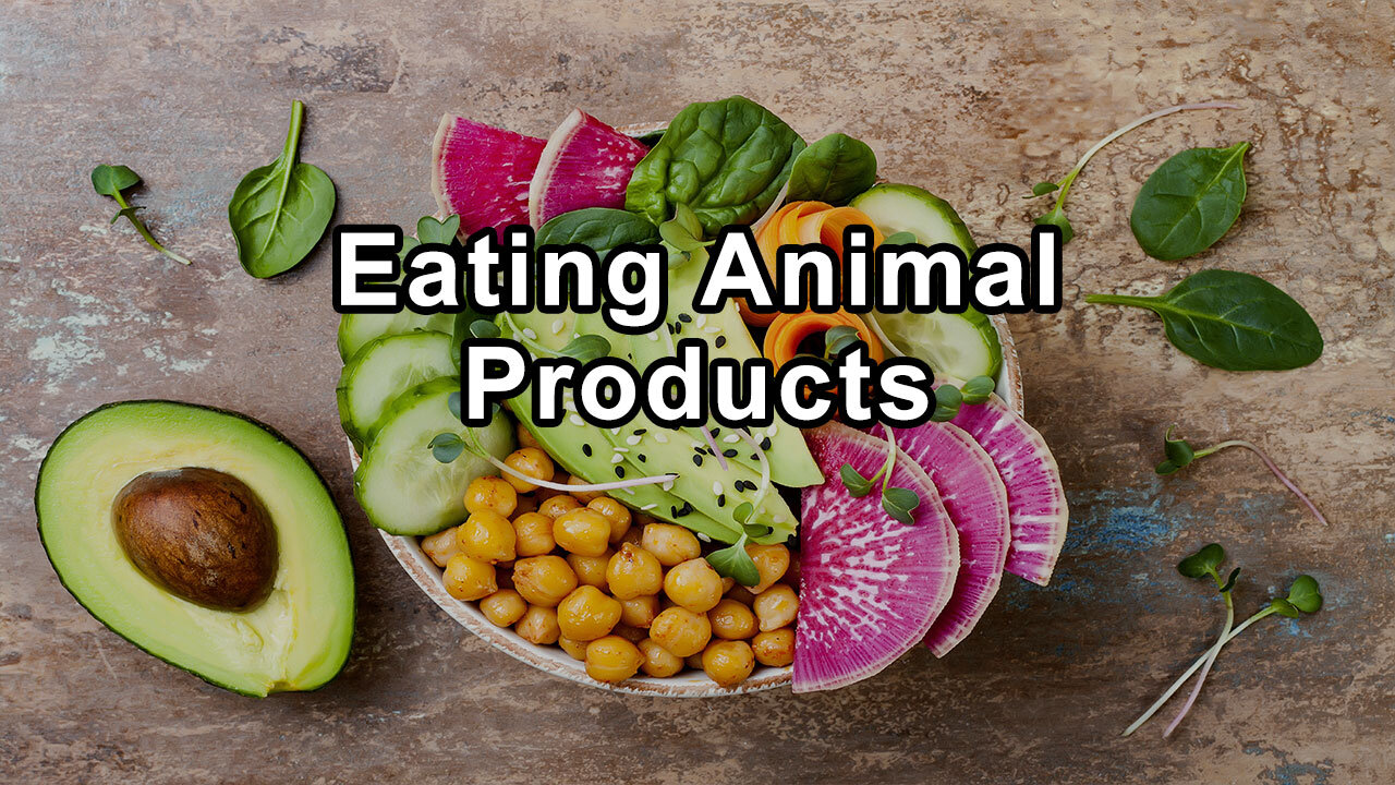 If I Am Going To Eat Animal Products, Which One Is the Healthiest? - Julieanna Hever, M.S