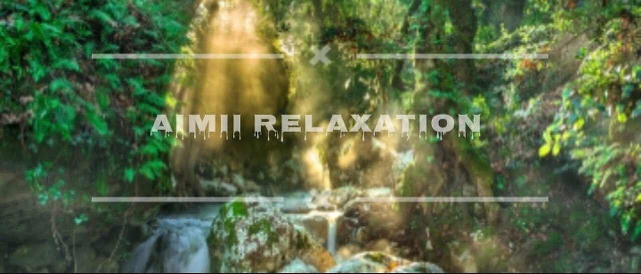 African nature showreel. Relax sleep study relief stress and enjoy the vedio