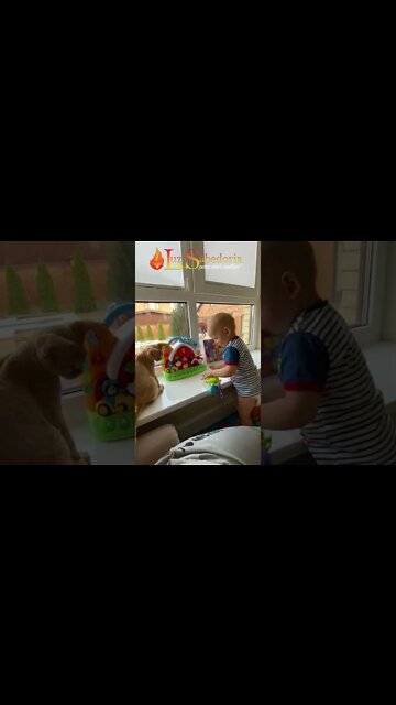 VIVA COMO SE HOJE...