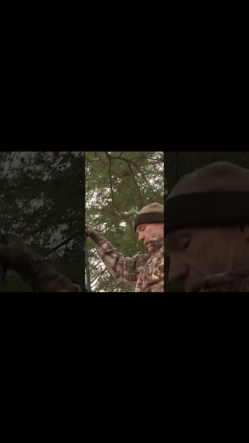 Would you consider hunting out of a saddle? #shorts #youtubeshorts #publiclandowner #bowhunting