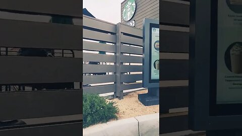 Tony Pizza Coffee Time