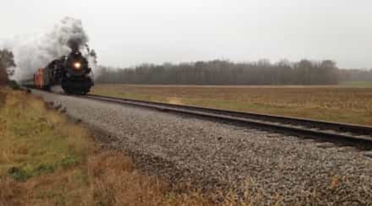 Deer defies death by train by mere seconds