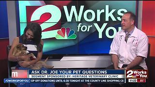 Dr. Joe visits 2 Works for You to answer pet health questions