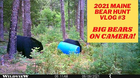 Maine Bear Hunt VLOG #3 | Here comes the big one!