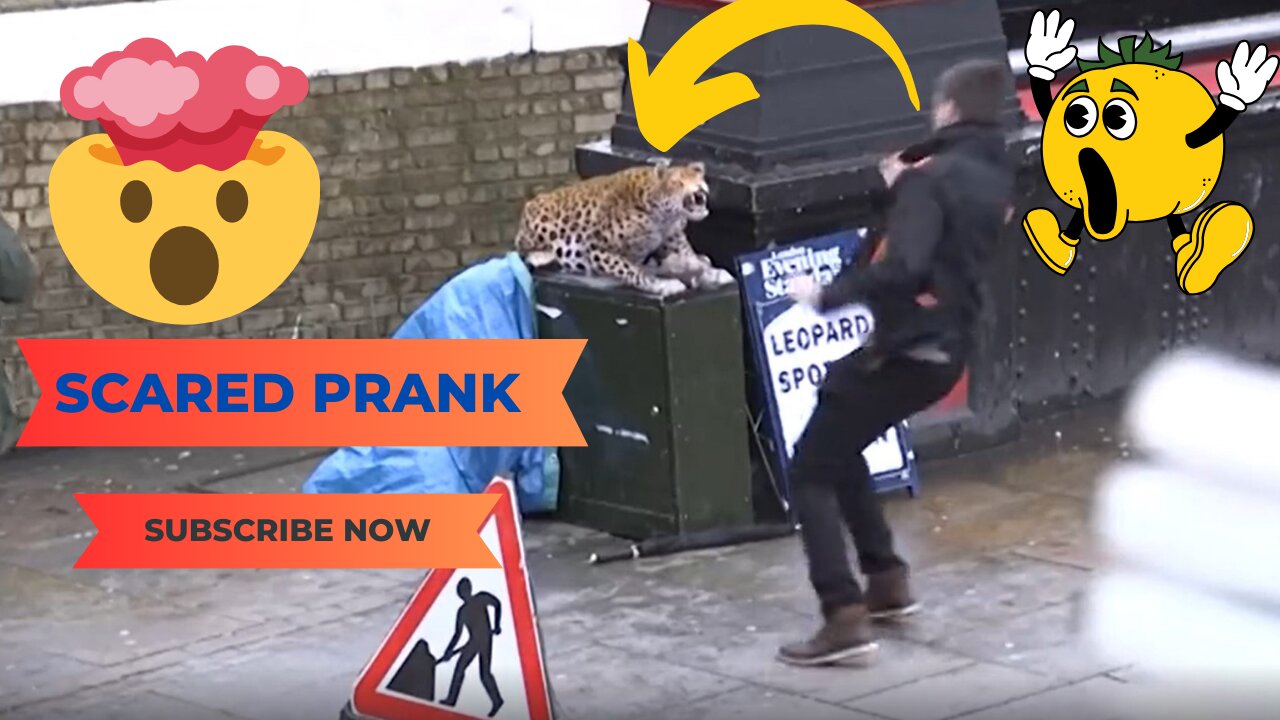 LEOPARD PRANK! - In Camden Town! #vidiQ #shorts #Hashtags #BestYouTubeChromeExtension #MoreViews @viral @2024 #cute #prank