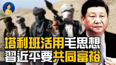 得中共真傳，塔利班也要「為人民服務」？習近平要求「共同富裕」，富人要倒霉了？| JASON 趙培 | 熱點互動 方菲 08/18/2021