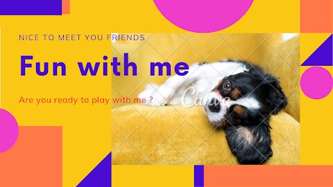 Fun with your pets 😛😁 #### funny pets videos