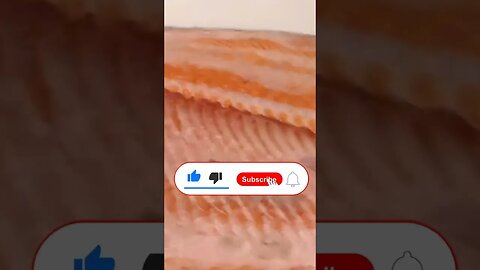 illegal to handle salmon in suspicious circumstances
