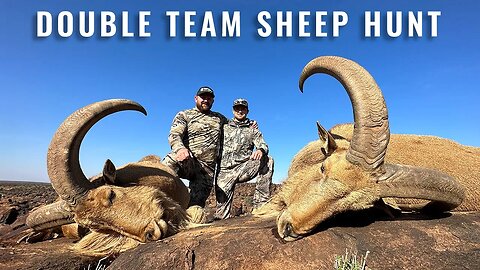 Unbelievable Dual Killshot - Double Barbary Sheep Takedown