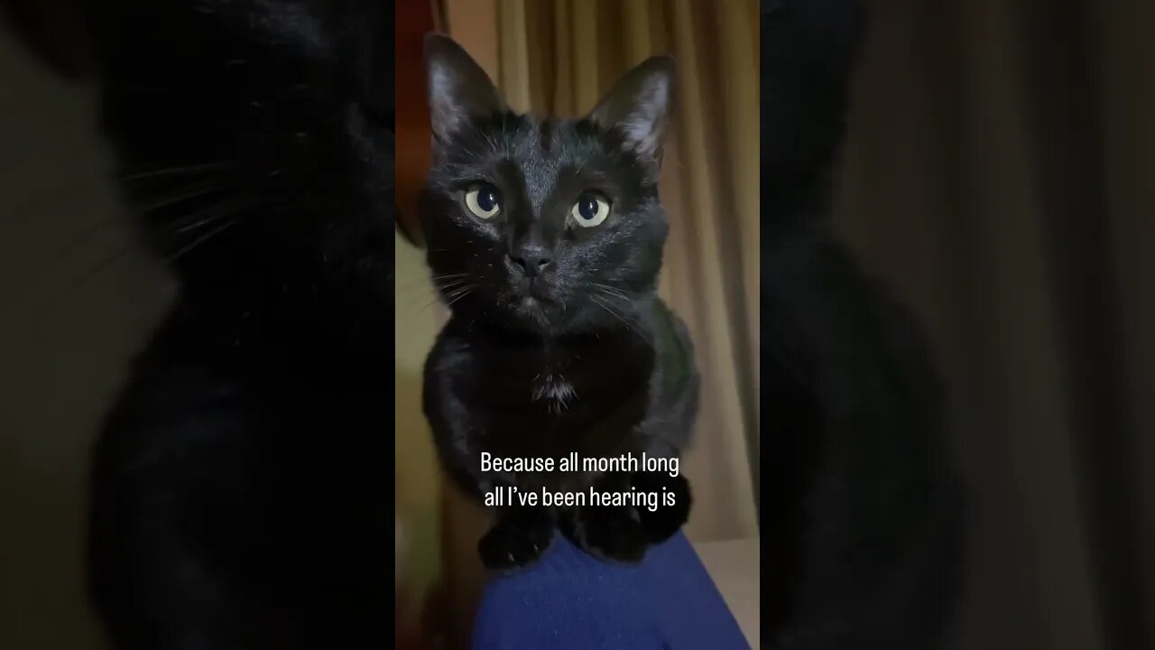 Cat sings Miley Cyrus flowers