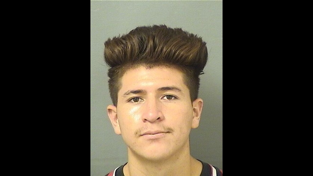 BERNABE ROLAND dm to Palm beach Mug Shots.