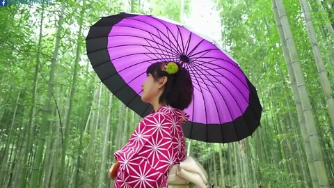 [Kyoto. Japan] Mood Quotes/The Historic City of Japan/ Enjoy Beautiful Temples, Gardens & Shopping