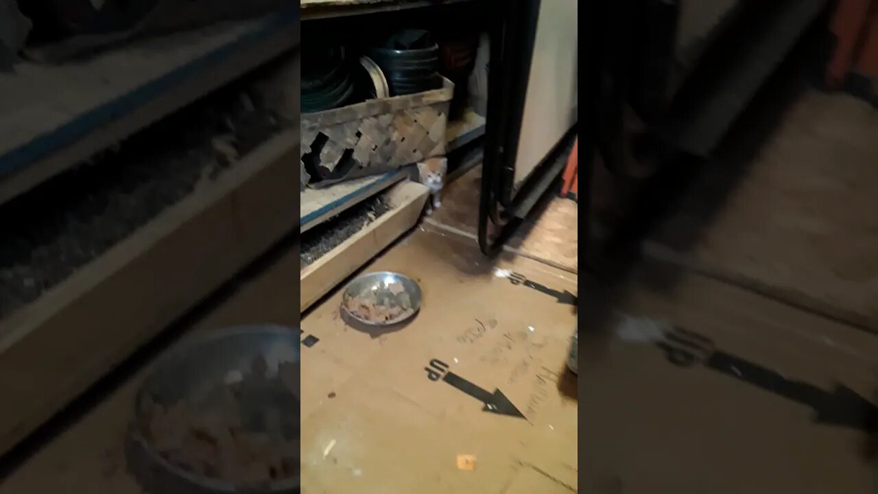 Look what I found in my Barn.