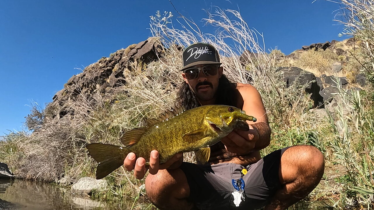 Snake River, Idaho: Smallmouth Dinkage