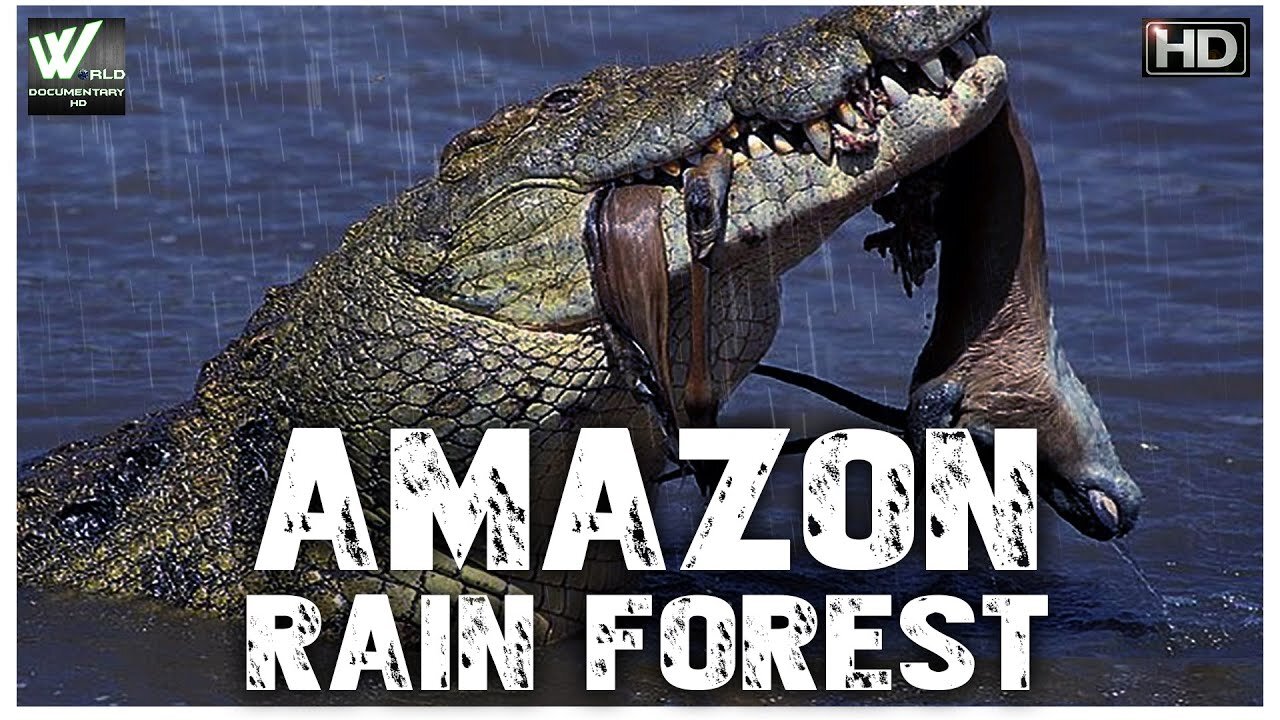 अमेज़न का जंगल का रहस्य आप को हैरान कर देगी _ Amazon Rain Forest _ World Documentary HD 2023