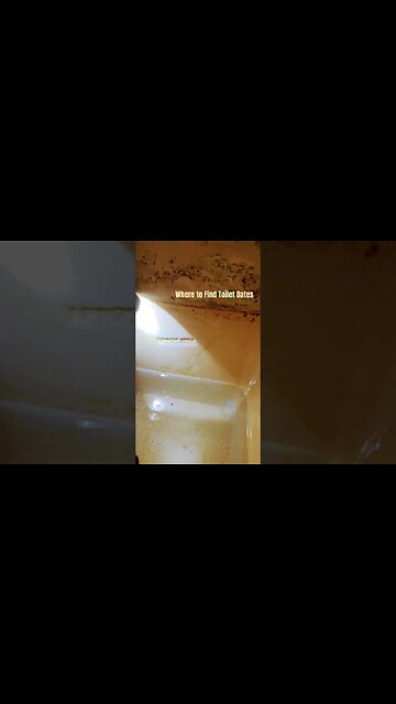 Where to Find Toilet Dates | How Old is Your Toilet?