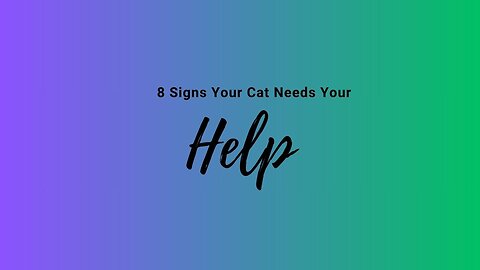 8 Signs Your Cat Needs Your Help