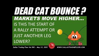 DEAD CAT BOUNCE ?