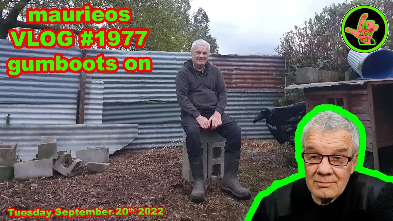 maurieo VLOG #1977 gumboots on