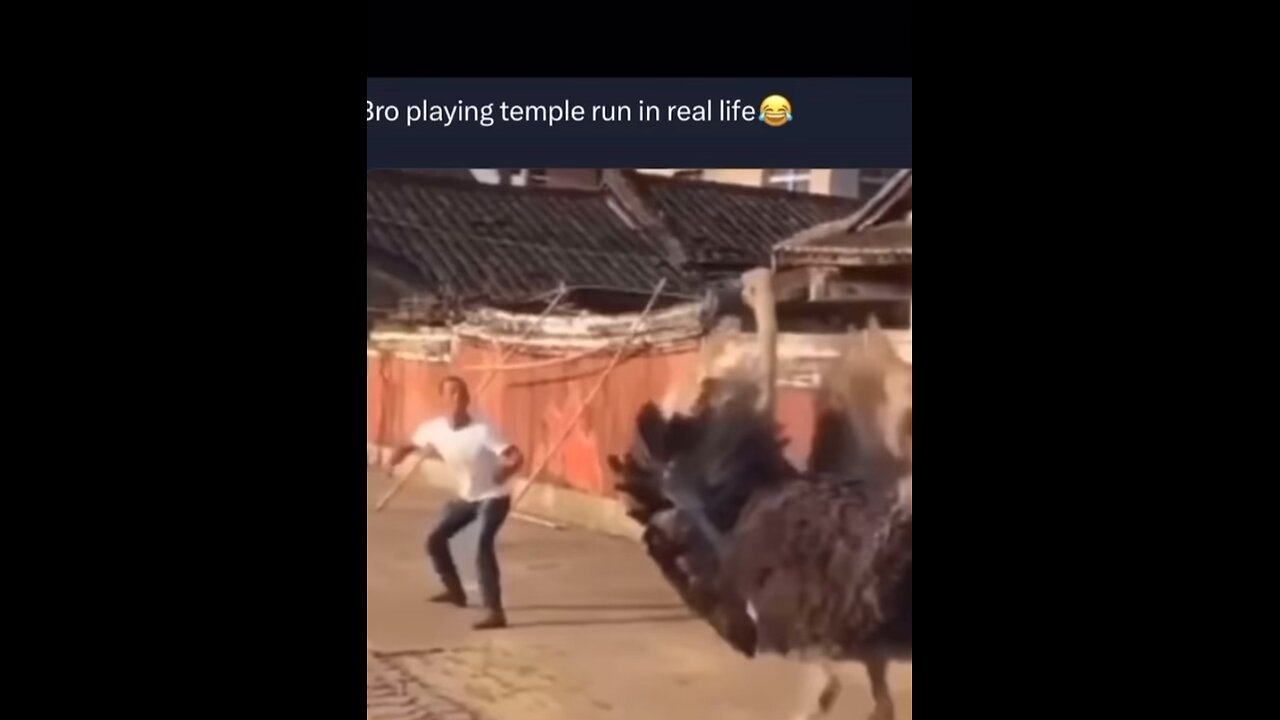 Bro playing temple run in real lifeπ (Watch til the end)ππ