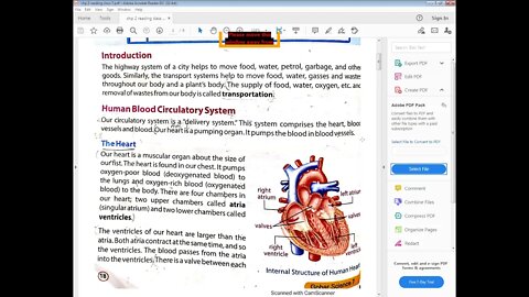 Science class 7 13 4 2021