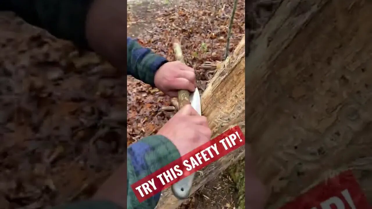 Bushcraft Tools and Safety! (Knife: SHEMANESE) #shorts #tools #safety #gear