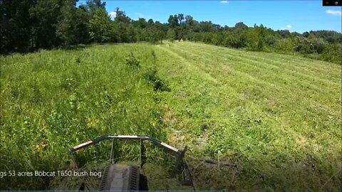PART 2 Time Lapse, Bush hogging 7' Jungle, Land clearing follow up, Land management & More.